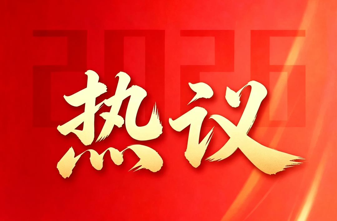【聚焦党代会】 武陵区党代表热议十三届区委报告区纪委工作报告
