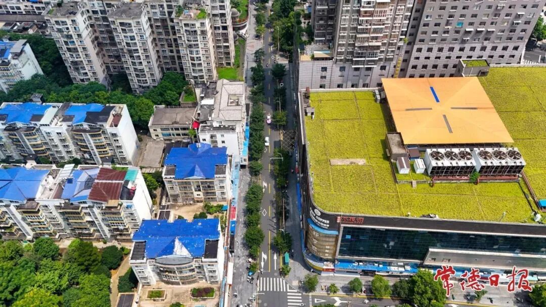 恢复双向通行！常德高山街商圈通行规则、停车点位指南收好