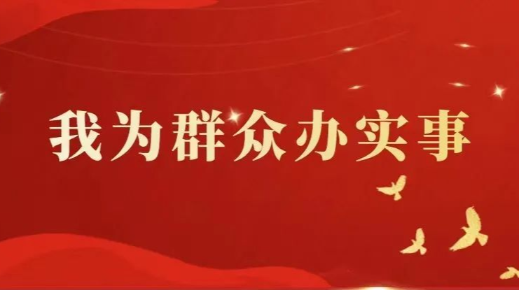 为民办实事