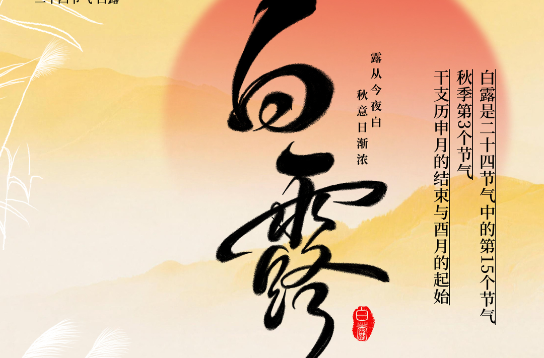今日白露｜露从今夜白，秋风启新凉