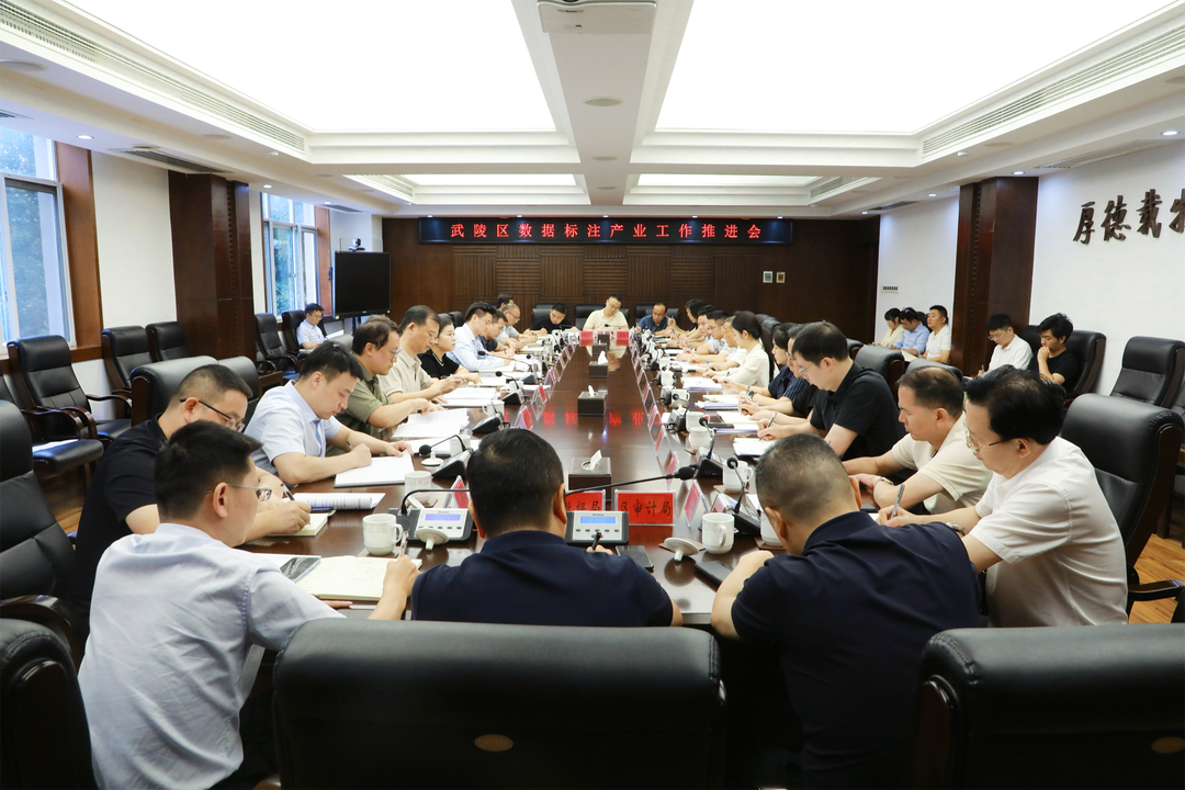 武陵区召开数据标注产业工作推进会