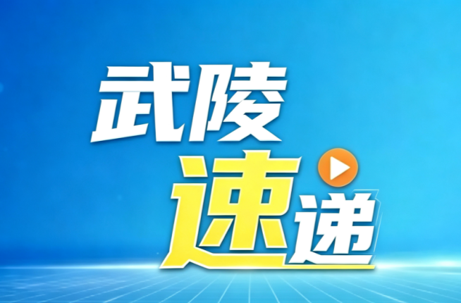 武陵区2个教师AI应用案例亮相国家智慧教育平台→