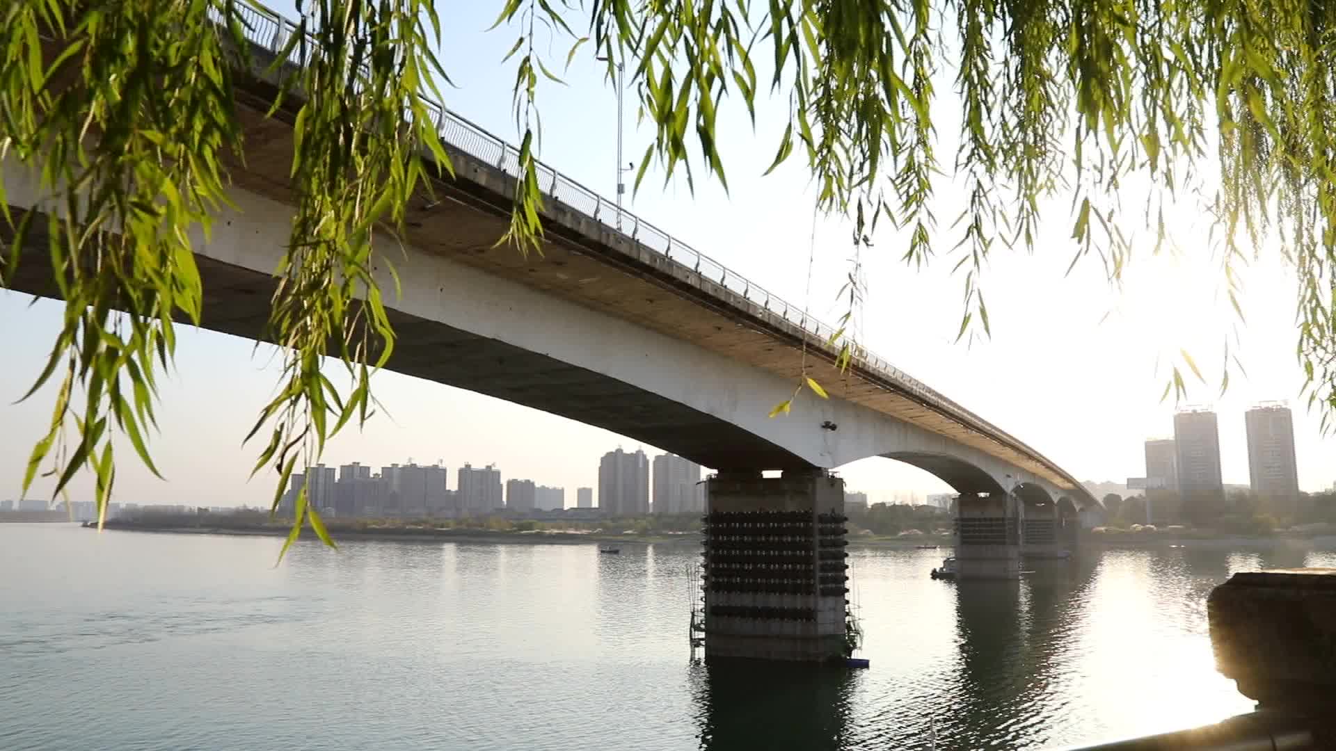 武陵大桥穿上“防撞保护衣”