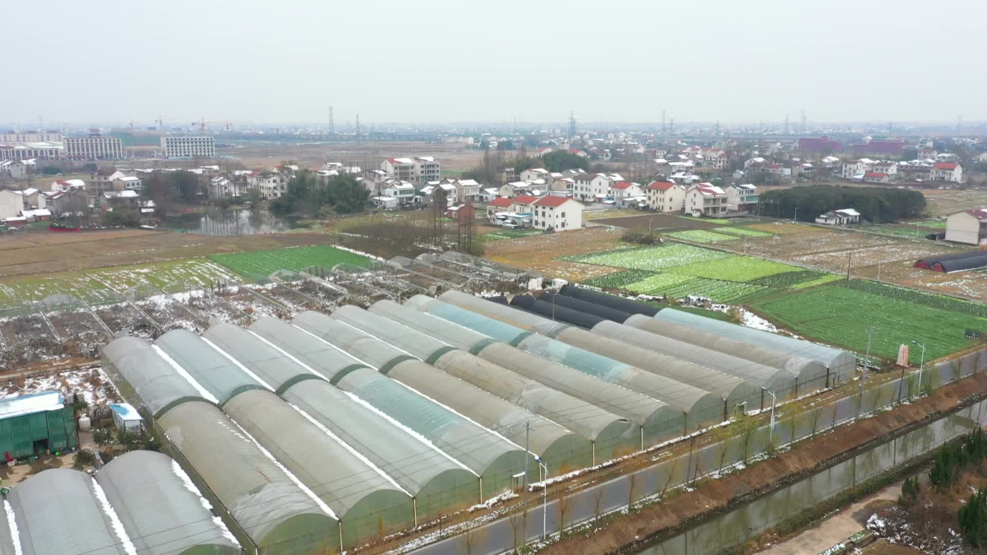武陵区：草莓保暖度寒潮  确保市场稳定供应