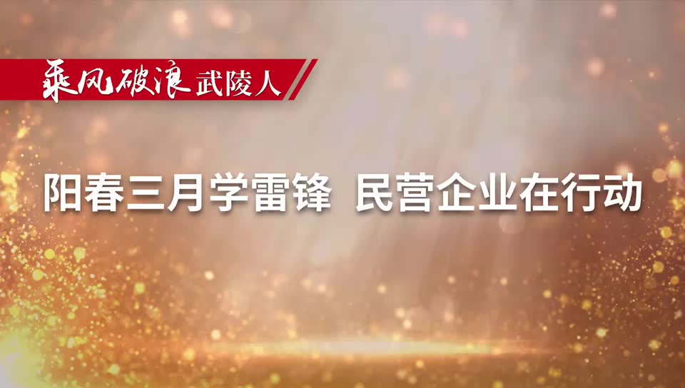 常德武陵：阳春三月学雷锋 民营企业在行动