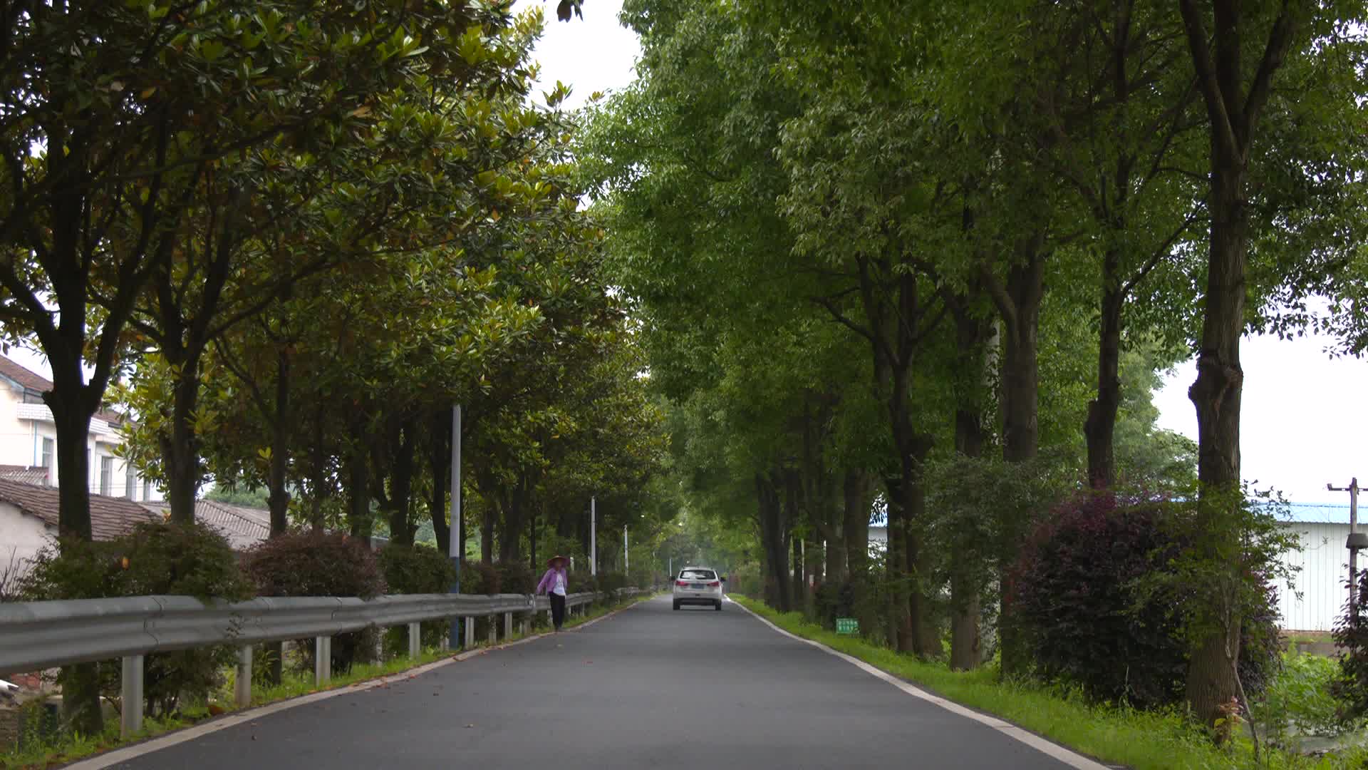 文明常德 爱在武陵 东江街道：强化农村人居环境整治 扮“靓”美丽乡村