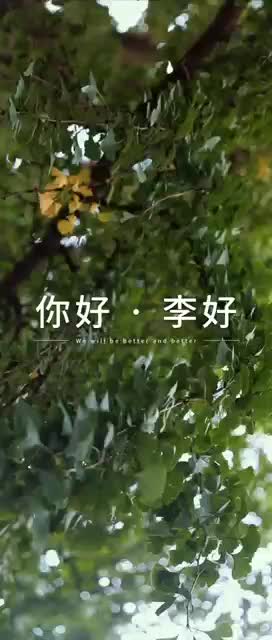 你好，李好！