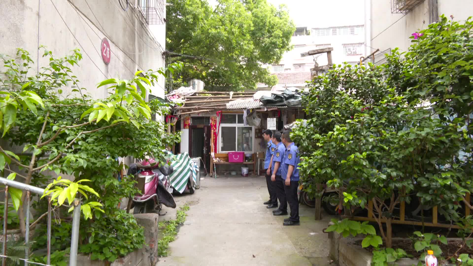 白马湖街道富强社区：拆除违章搭建 推进精致片区改造
