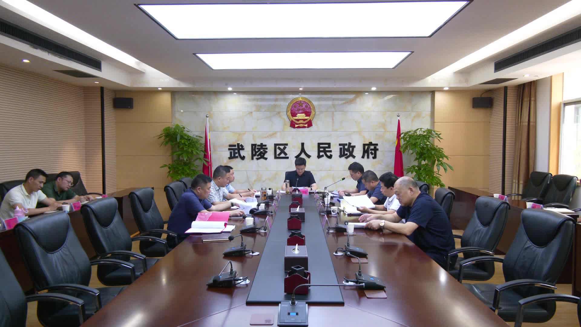 武陵区政府党组集中学习上级相关精神