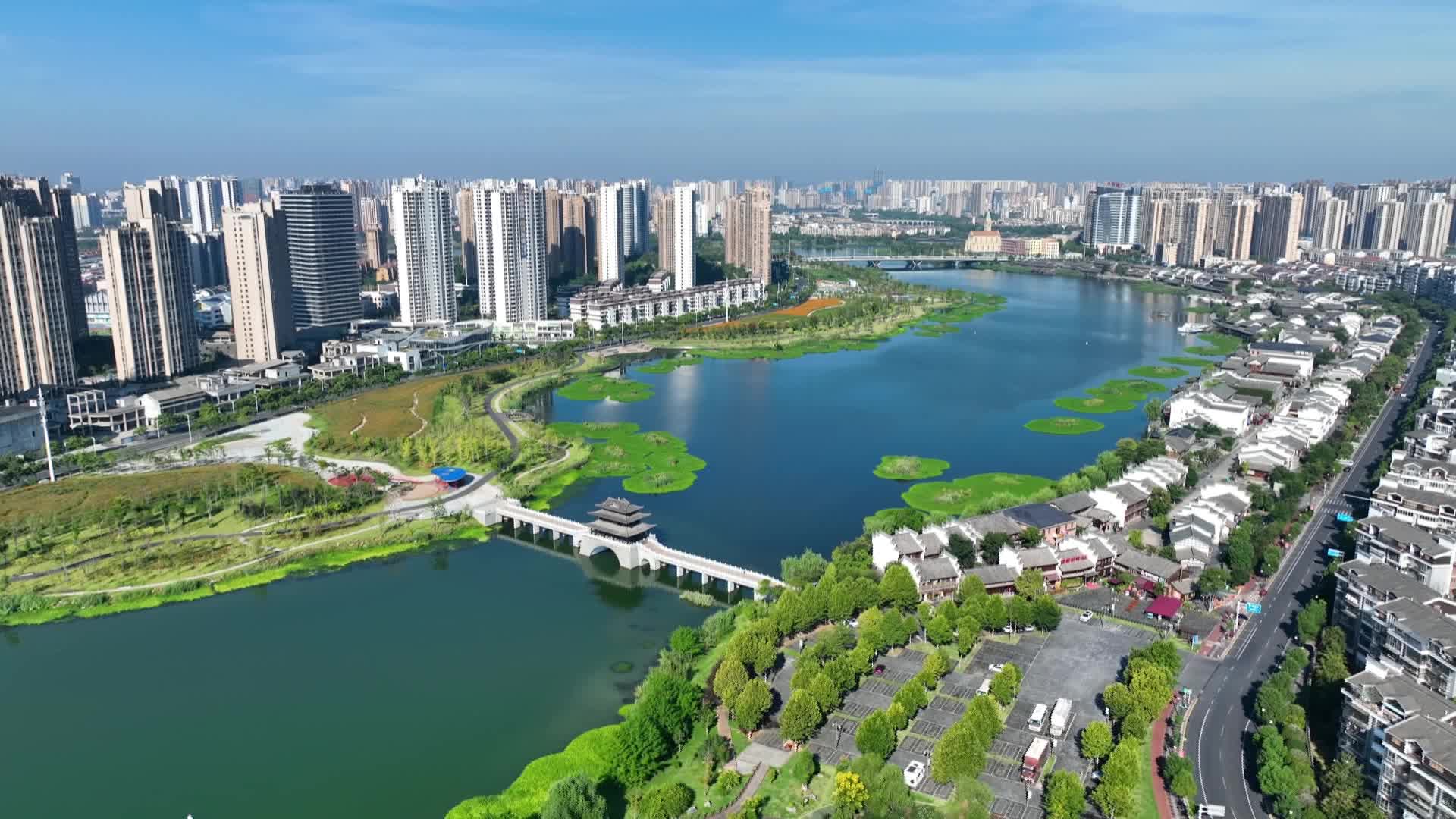武陵区：栾树花开  满眼金黄