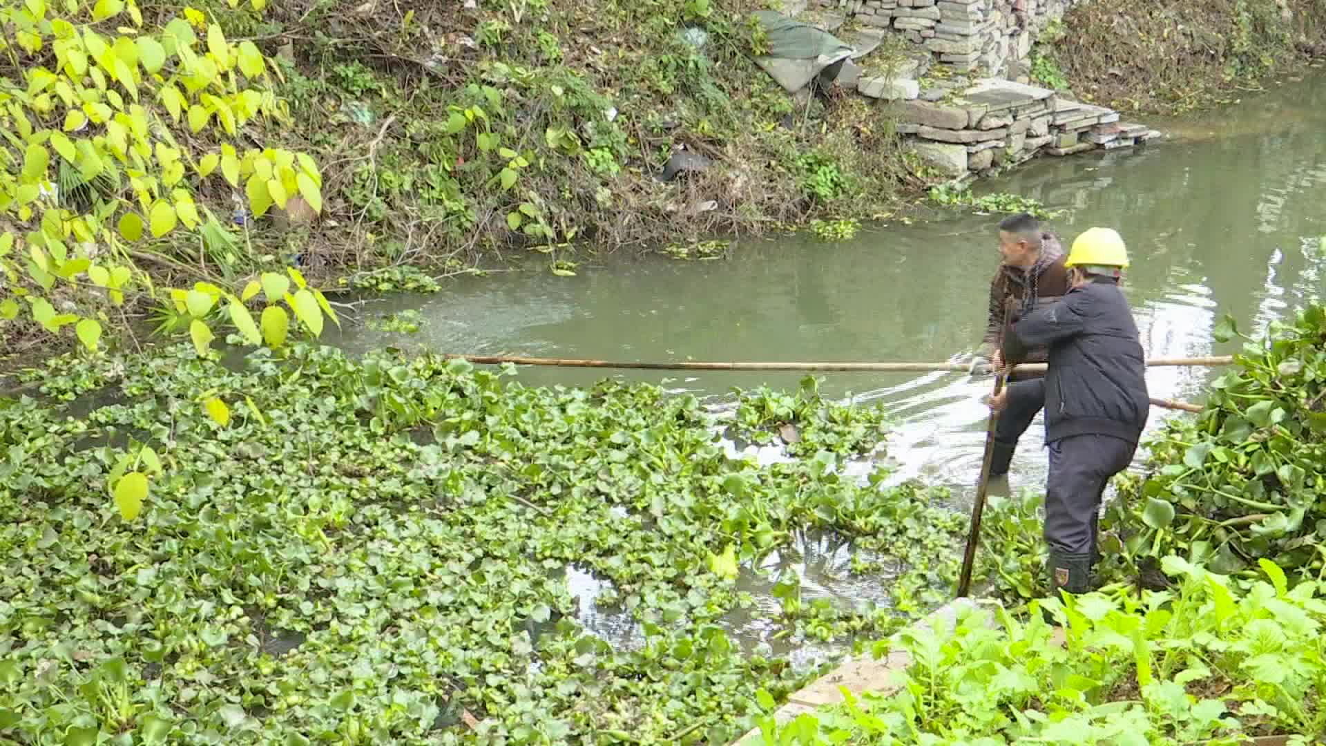芙蓉街道开展河道沟渠清淤保畅行动
