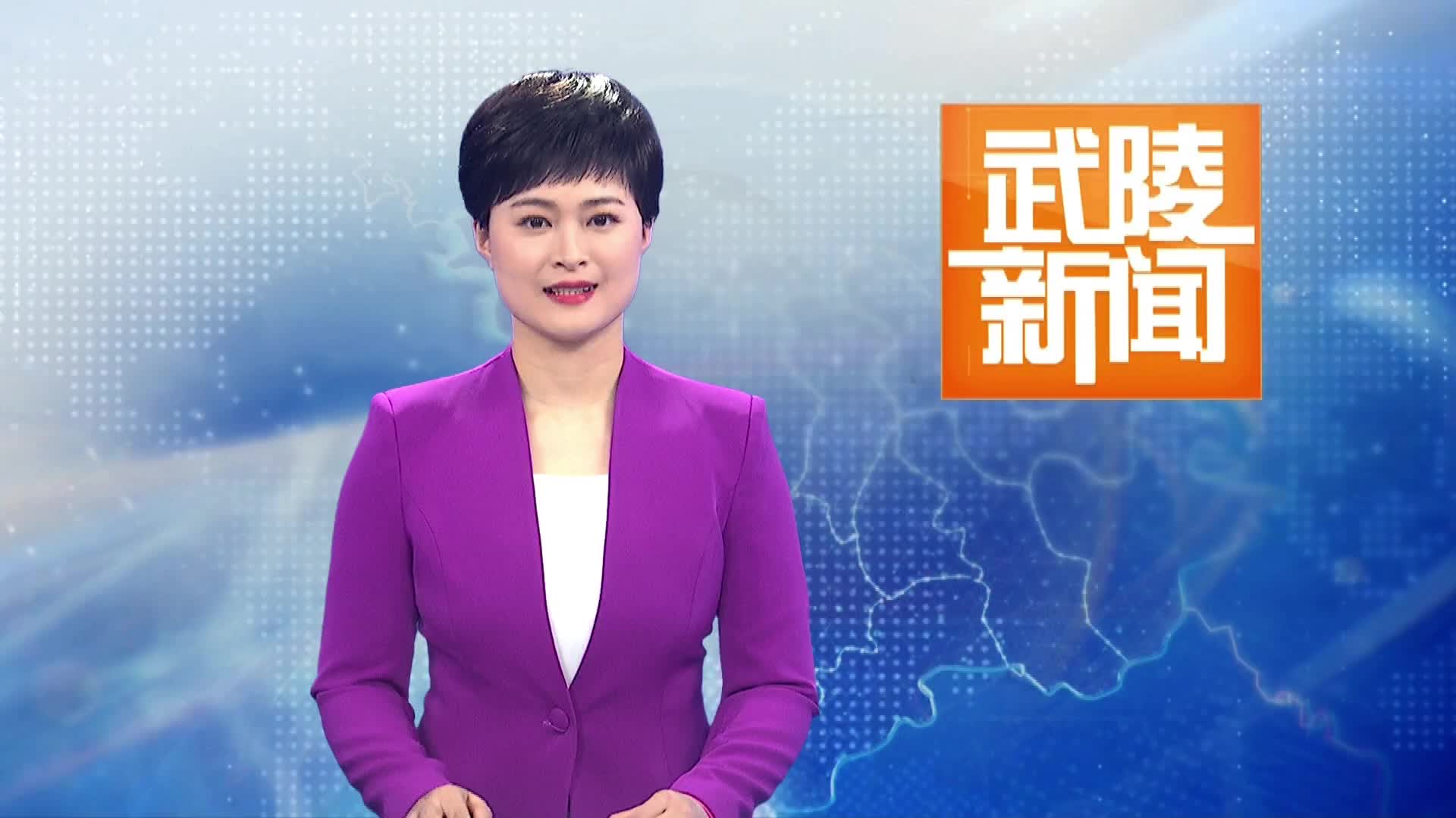 武陵区领导赴石门县壶瓶山镇开展结对帮扶走访活动