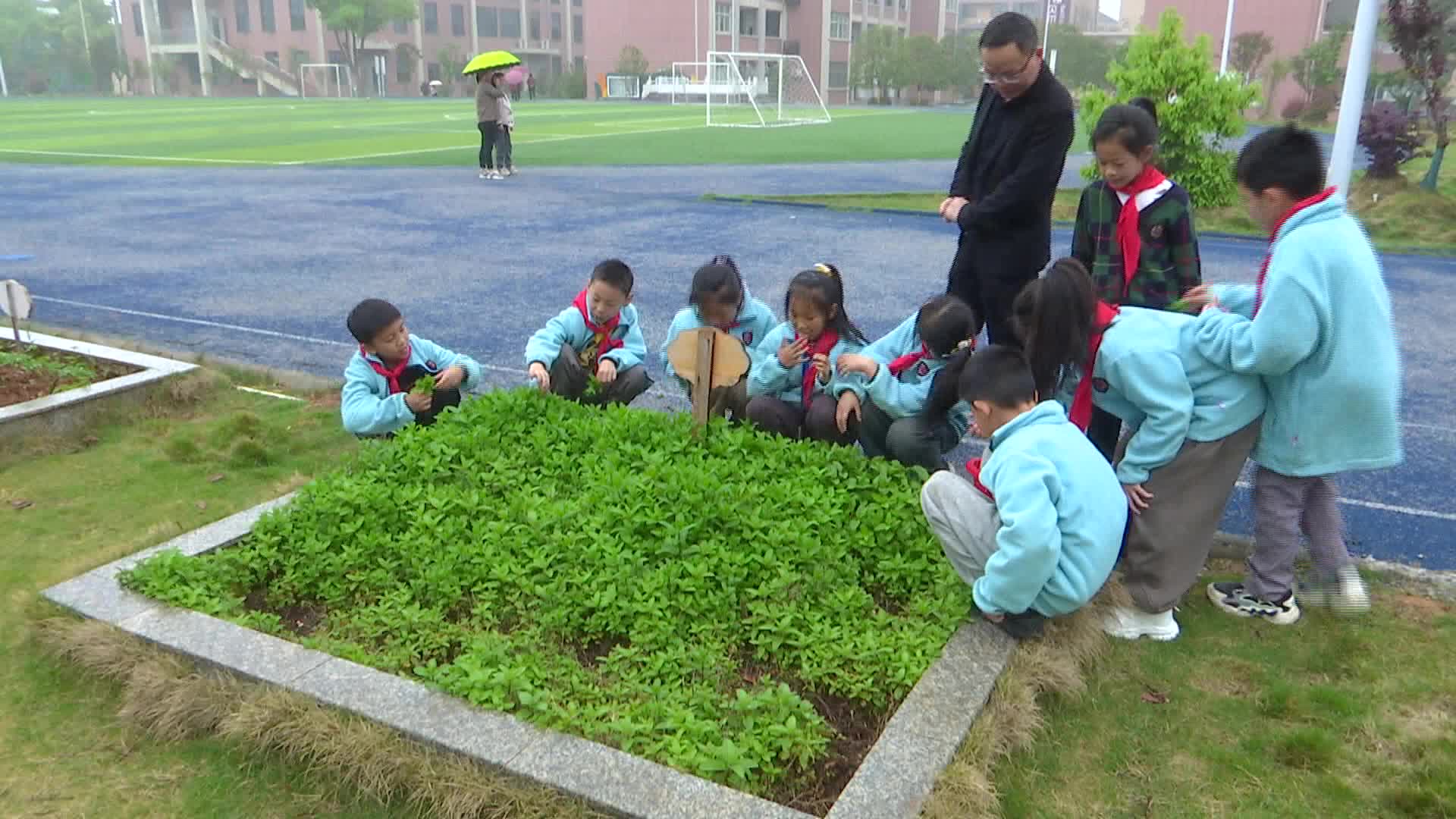 东风小学开展劳动实践活动