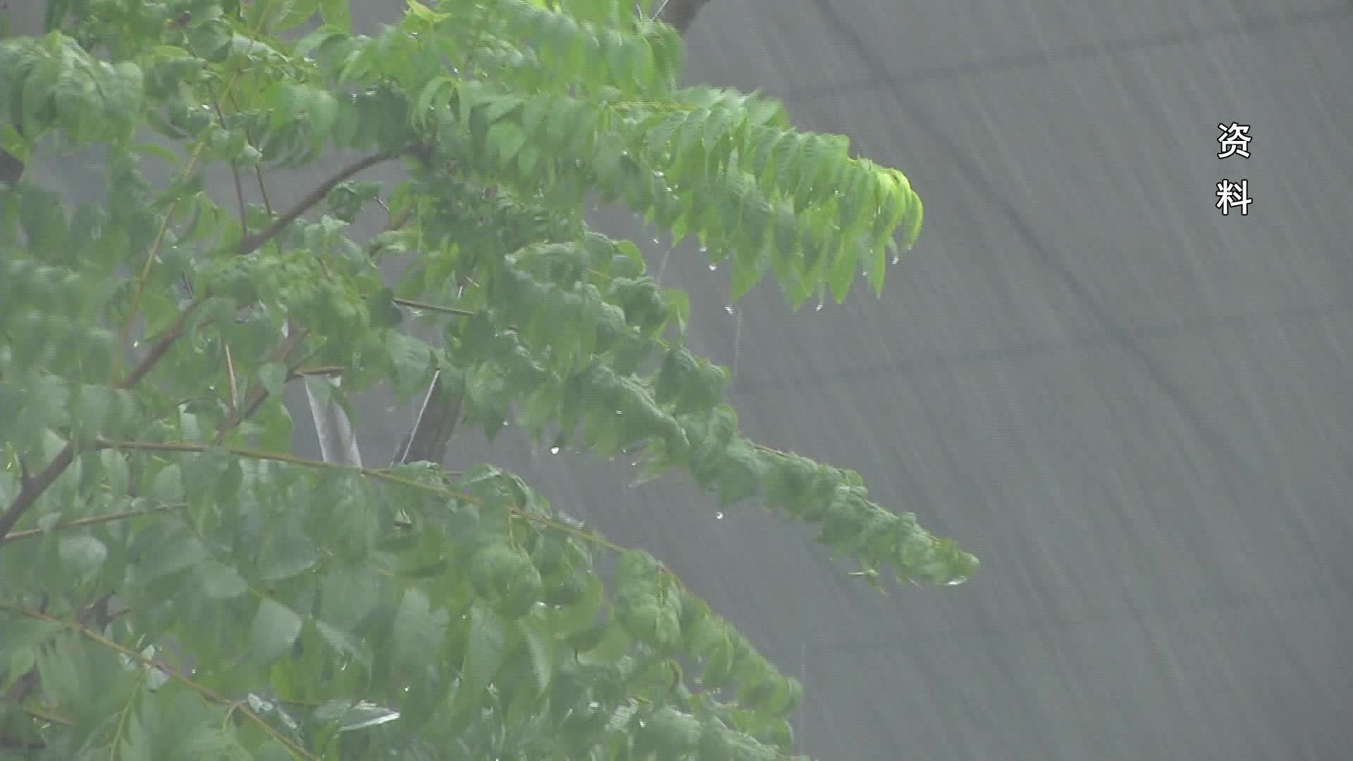 受强降雨影响 6月25日途经常德的5趟列车停运