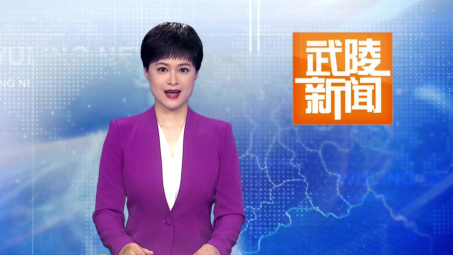 武陵区委第一、二、三巡察组向被巡察单位反馈巡察意见
