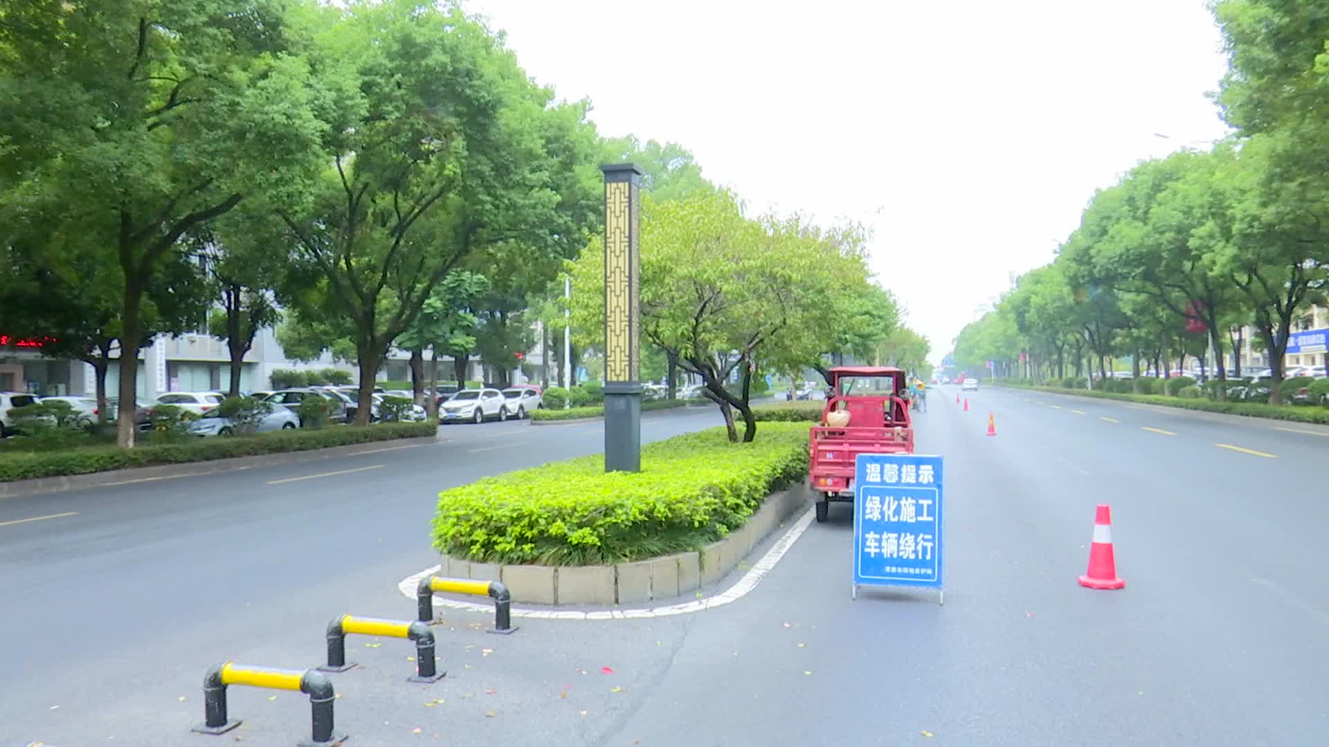 “梳妆”好时节 绿化修剪忙