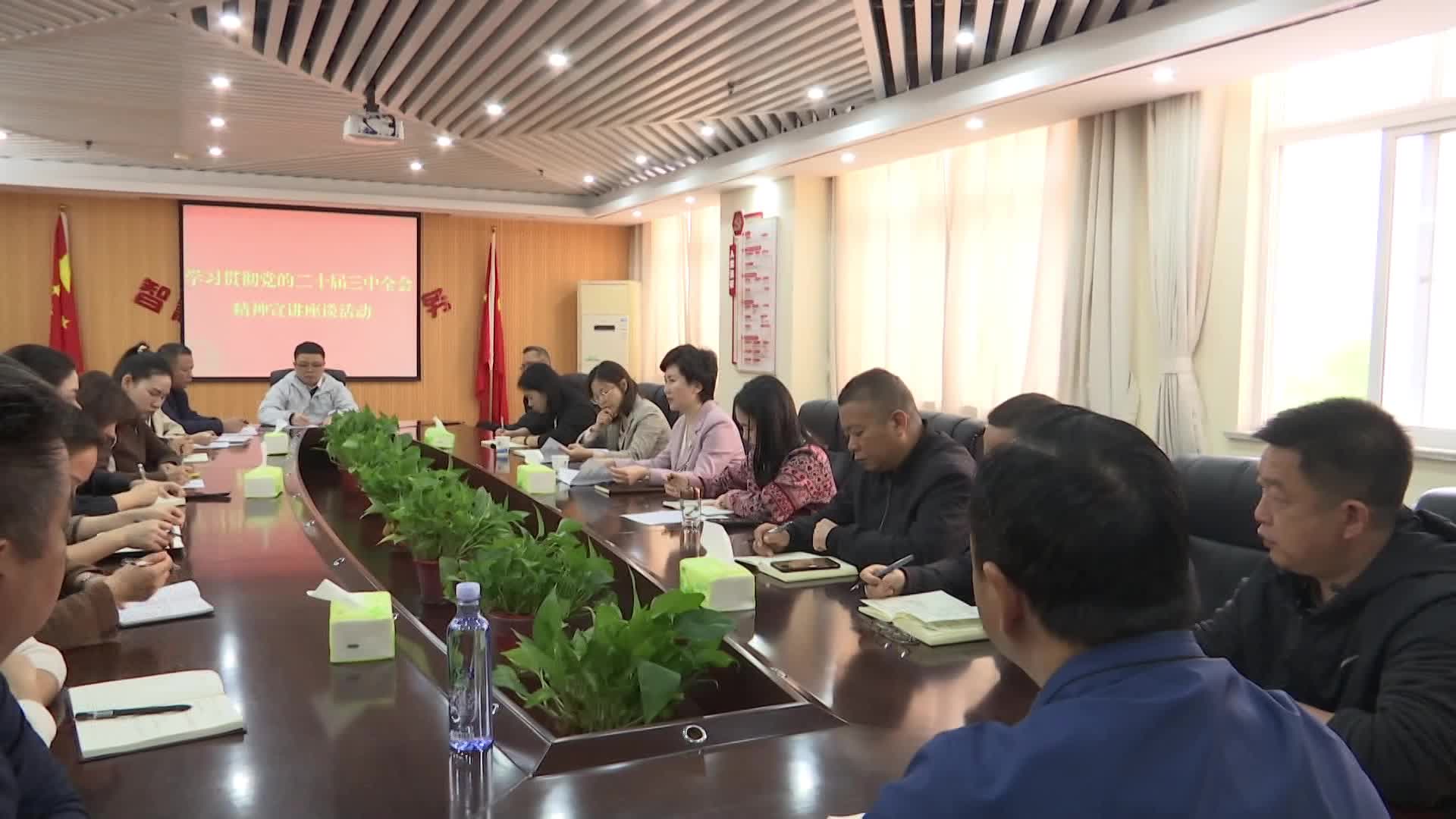 武陵区领导宣讲党的二十届三中全会精神