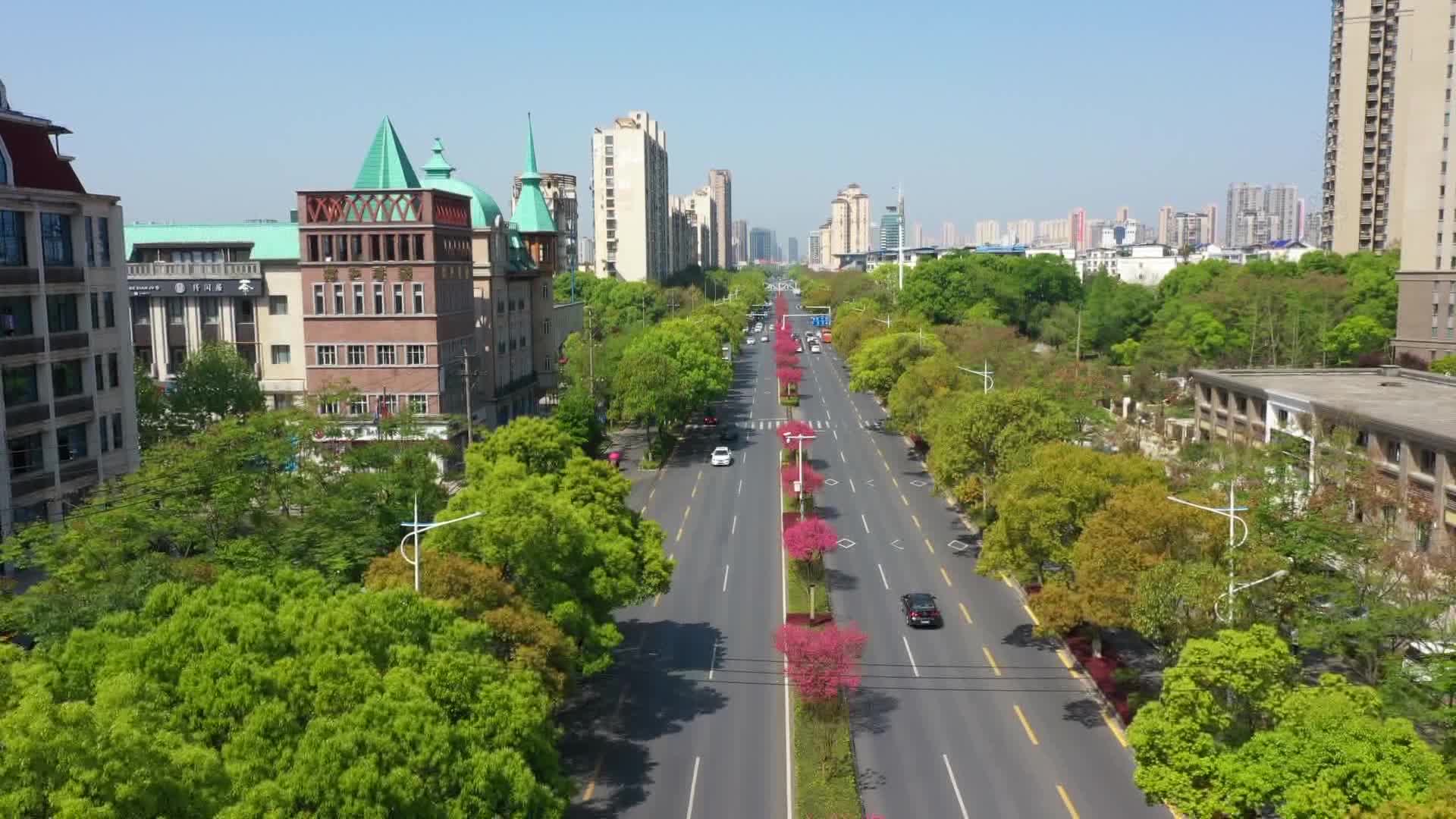“德马”期间公交线路临时调整
