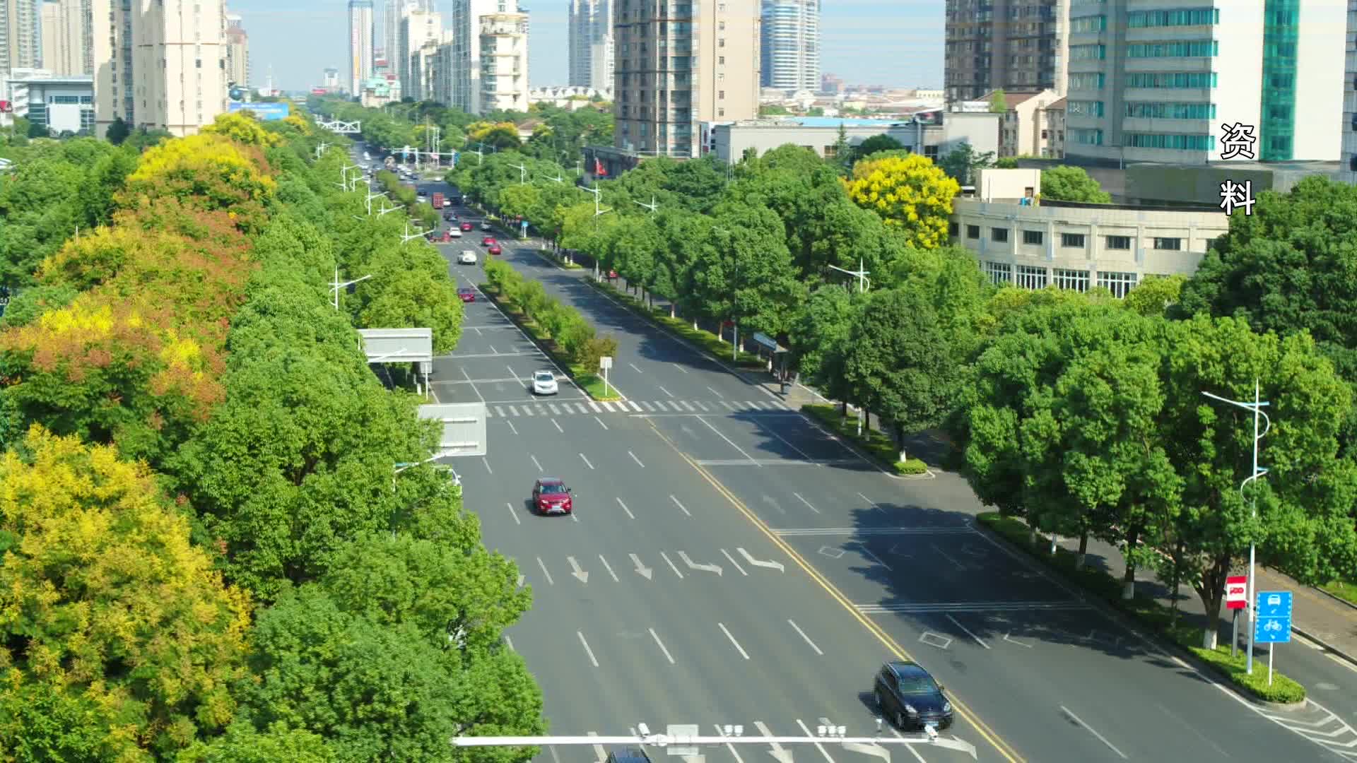 武陵区林业局救护国家二级保护动物“游隼”