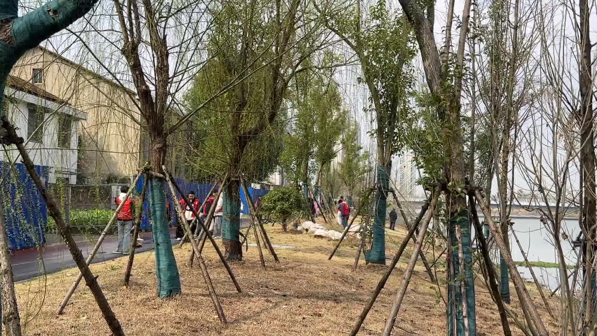 长庚街道仙源社区开展“学雷锋”志愿服务活动