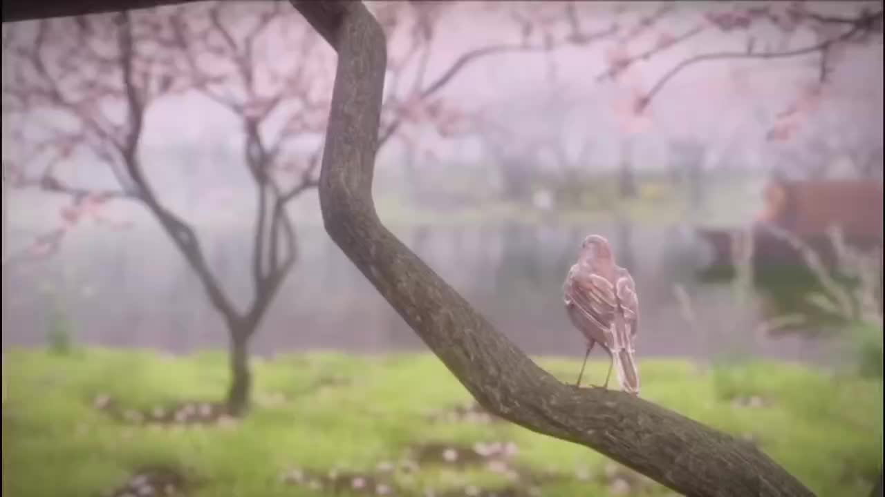 快来，桃花源的桃花开了，你什么时候来？