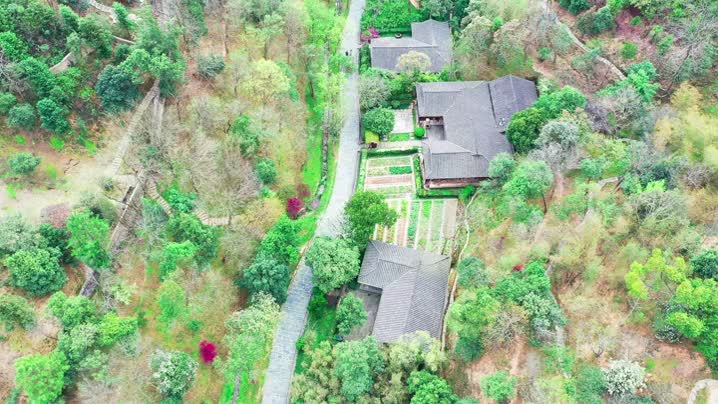 来云舍村，感受世外桃源的春意