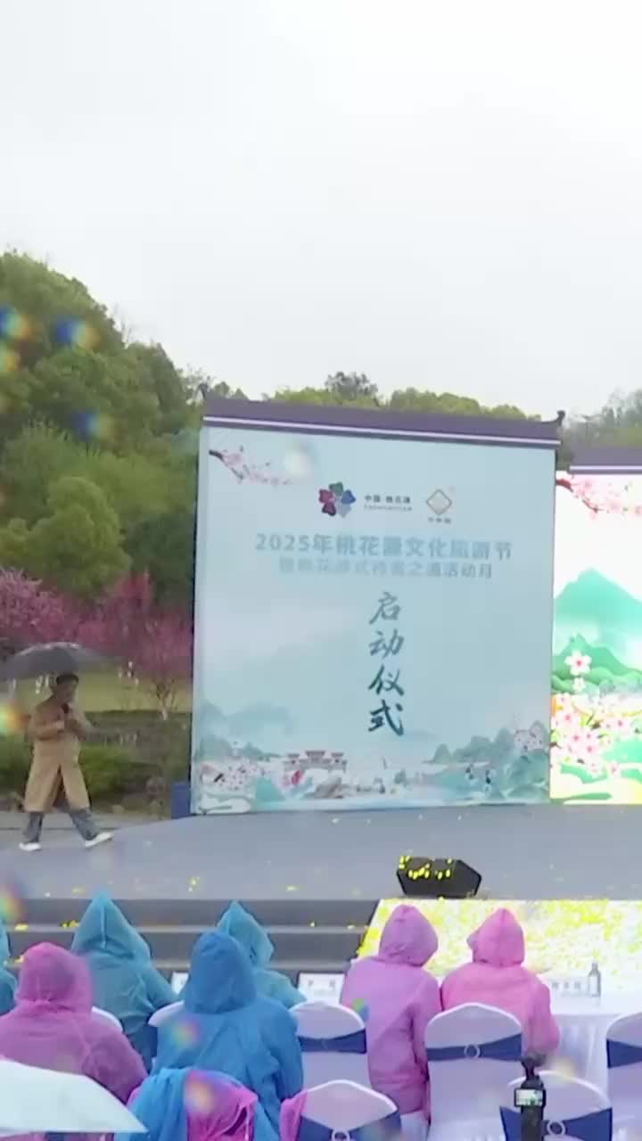 湖南卫视主持人李锐推荐常德桃花源#2025年桃花源文旅节