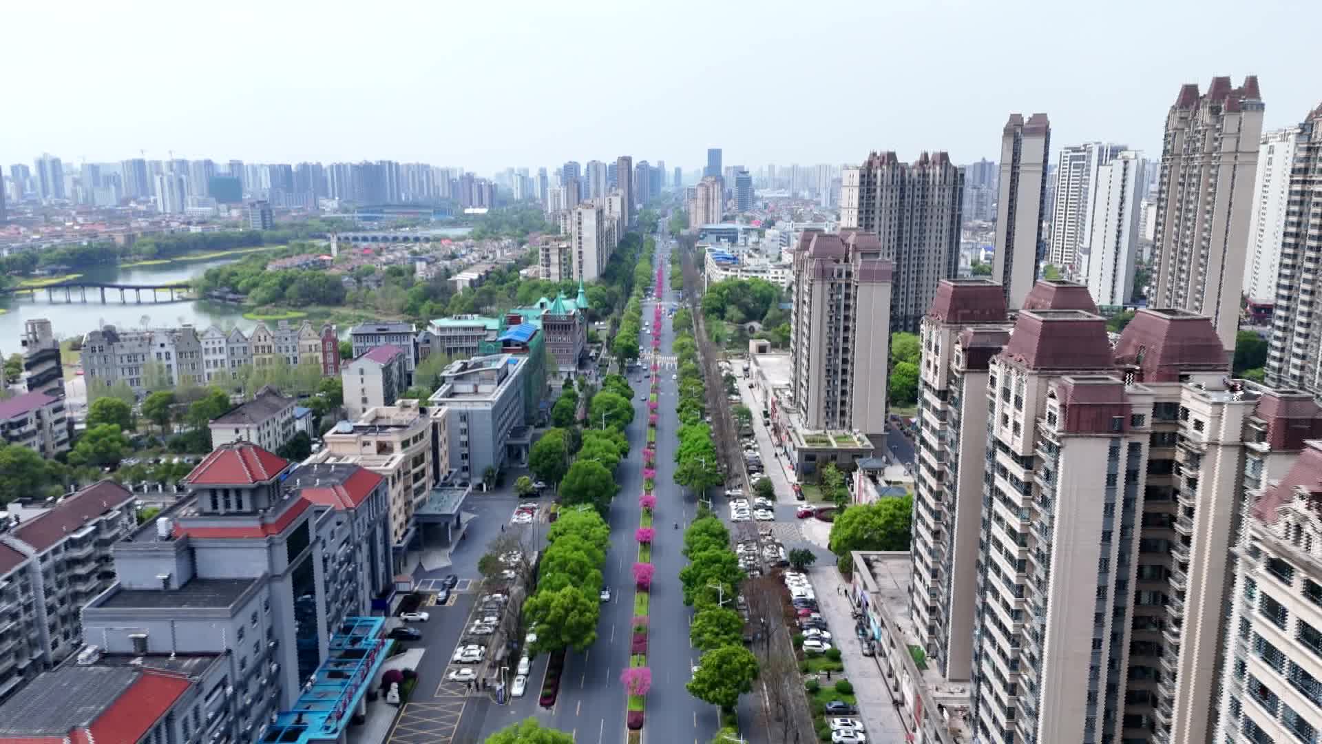 武陵区：城市道路“十里桃花长廊”盛放
