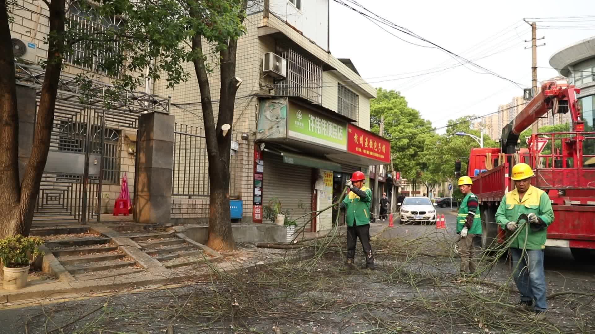 武陵区市政绿化事务中心：为民办实事 义务除枯树