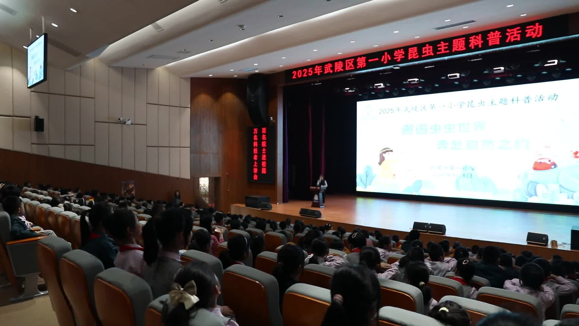 武陵区第一小学开展昆虫主题科普活动