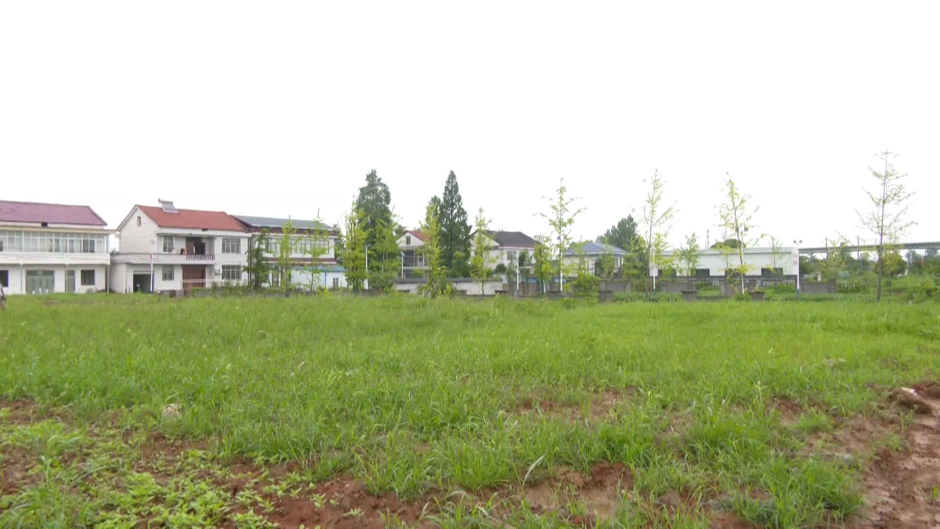 寻健督导检查防汛工作