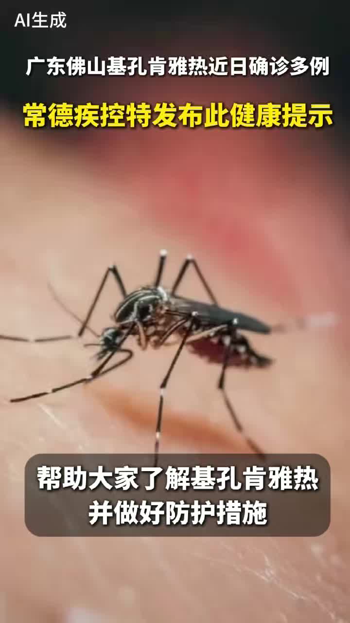 常德疾控提醒：这份超详细的《家庭防蚊清单》快收好！立即对照行动→