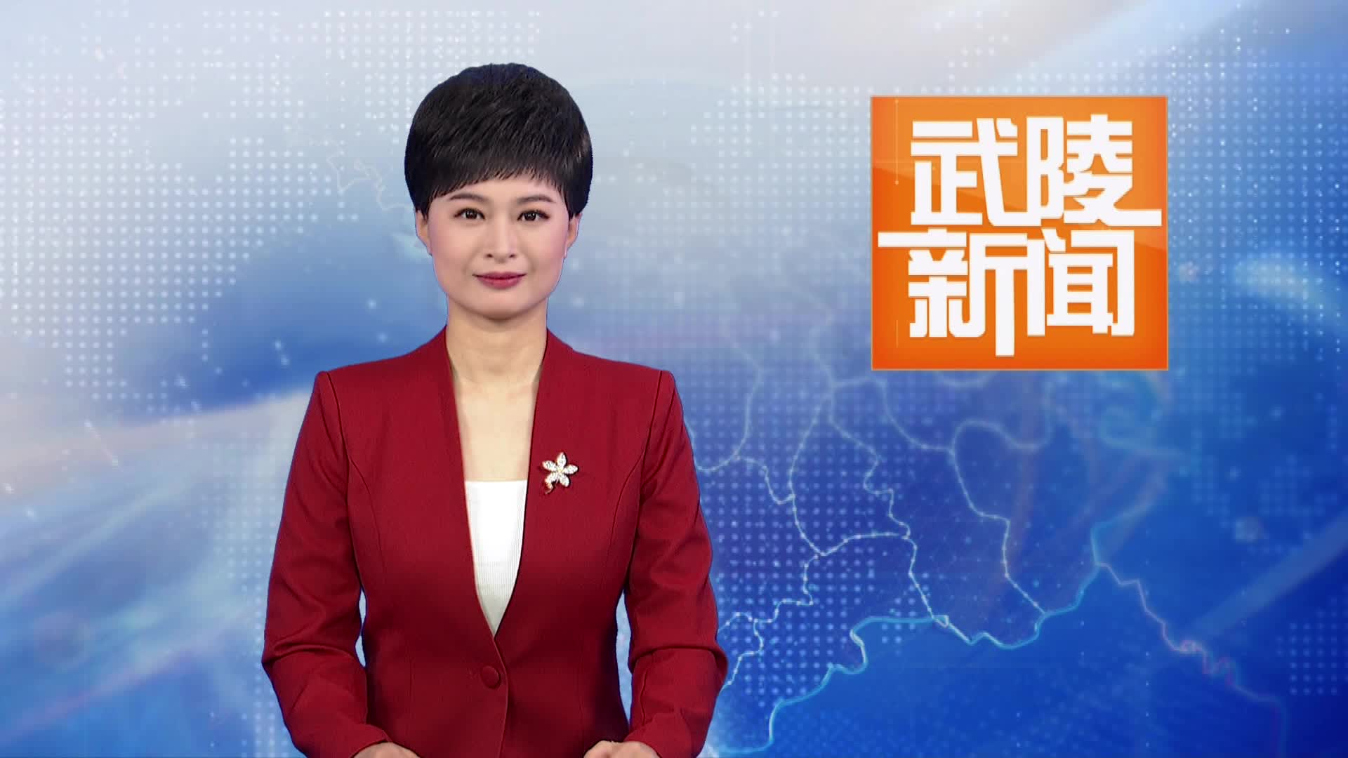 《习近平关于树立和践行正确政绩观论述摘编》出版发行