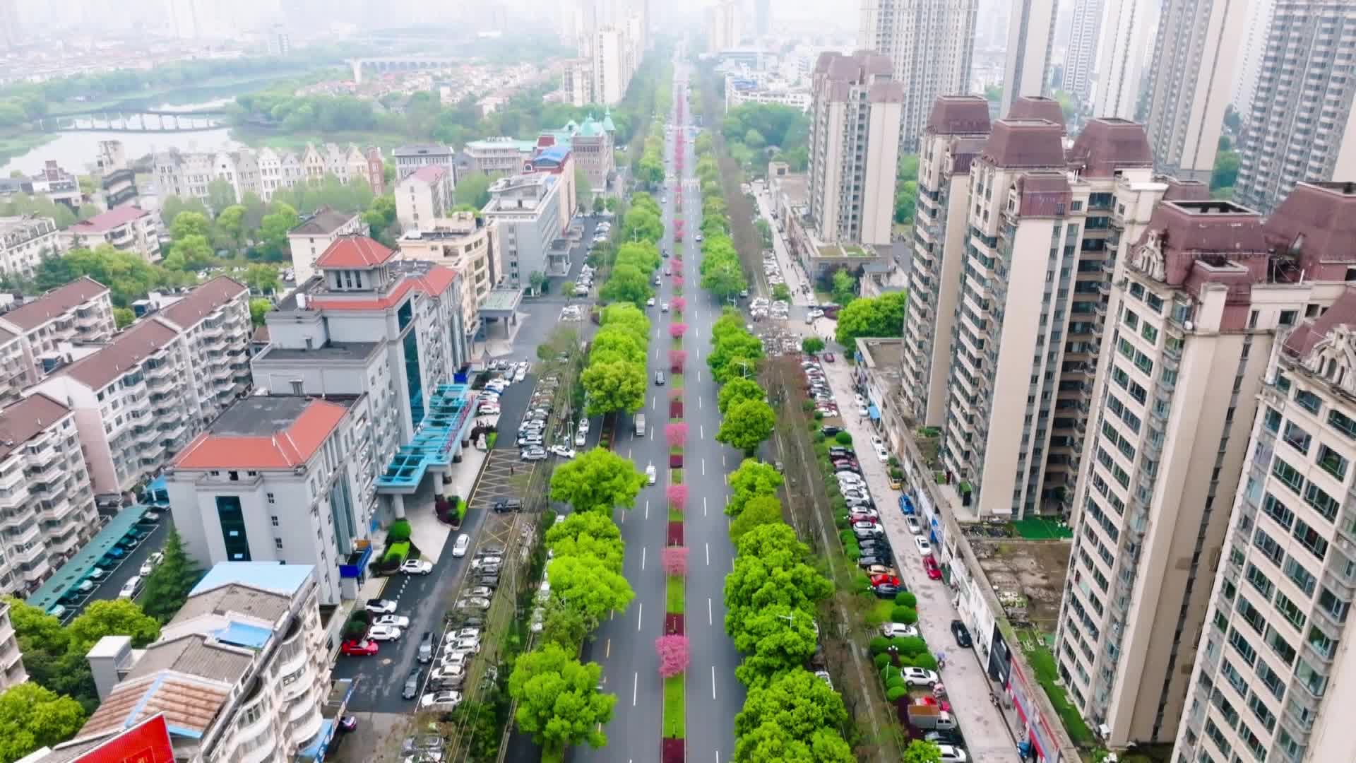 武陵区：城市道路“十里桃花长廊”美如画