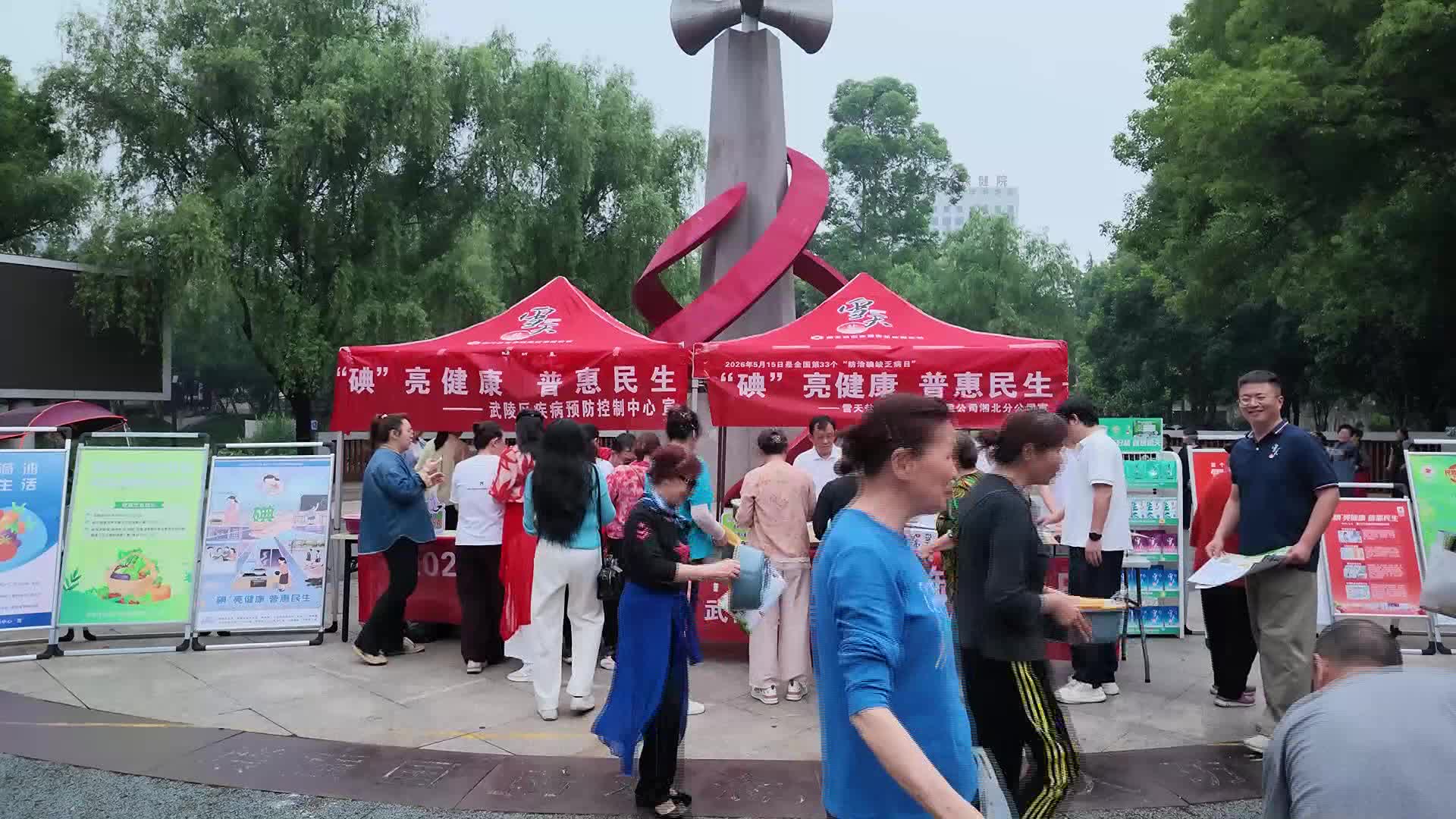 武陵区开展“5·15防治碘缺乏病日”主题宣传活动