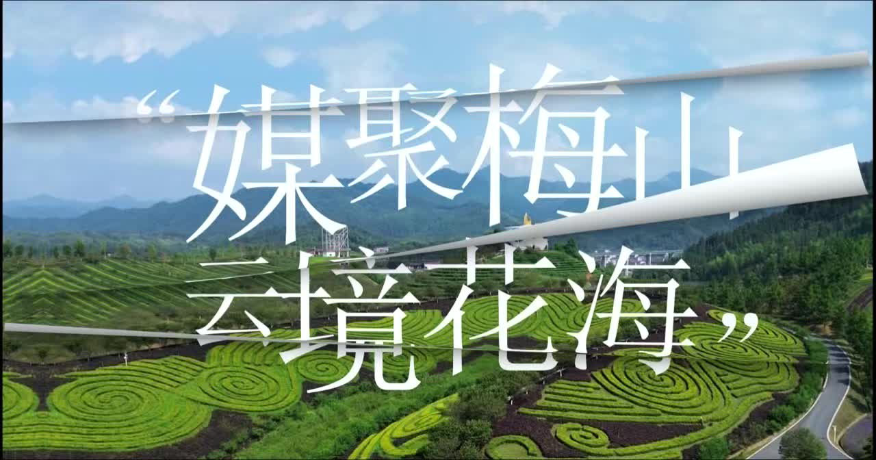 媒聚梅山·云境花海 赏山水风光，品梅山风情 山清水秀、游乐齐全，藏在梅山深处的夏日浪漫，等你来赴约