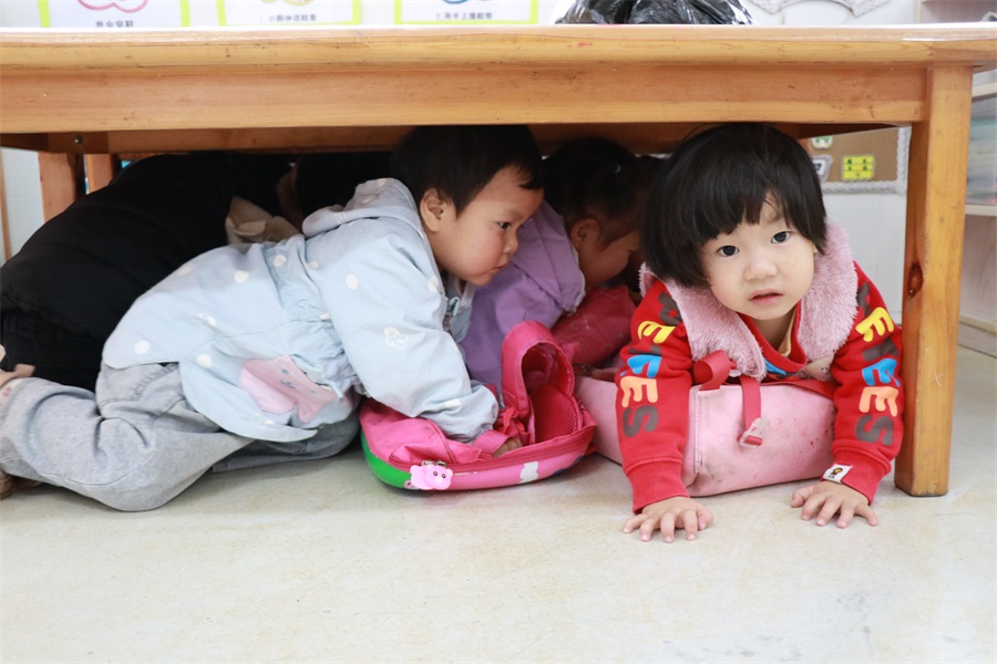 双观幼儿园：演练有方 防震不慌