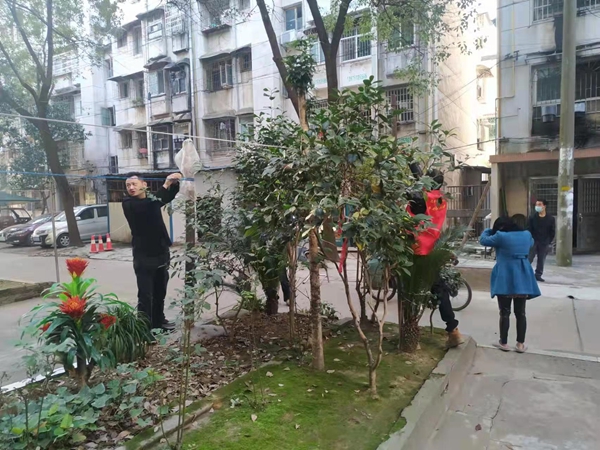 武陵区永安街道东苑社区开展老旧小区环境卫生整治活动