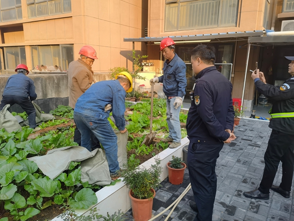 我为群众办实事丨武陵区永安街道开展清理楼顶种菜行动