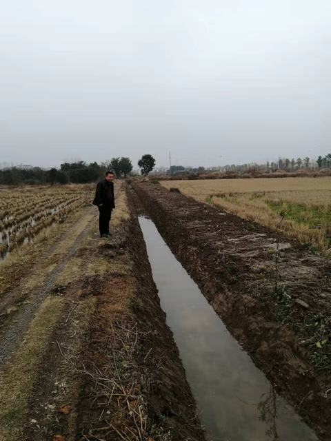 河洑镇：兴修水利  造福群众