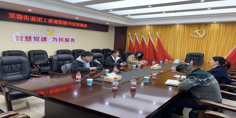 仪式感激发责任感--芙蓉街道团工委召开大学生兼职副书记见面会