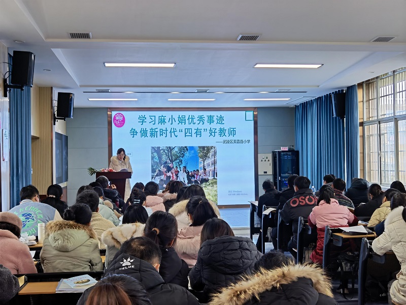 武陵区芙蓉路小学：学习麻小娟优秀事迹，争做新时代“四有”好教师