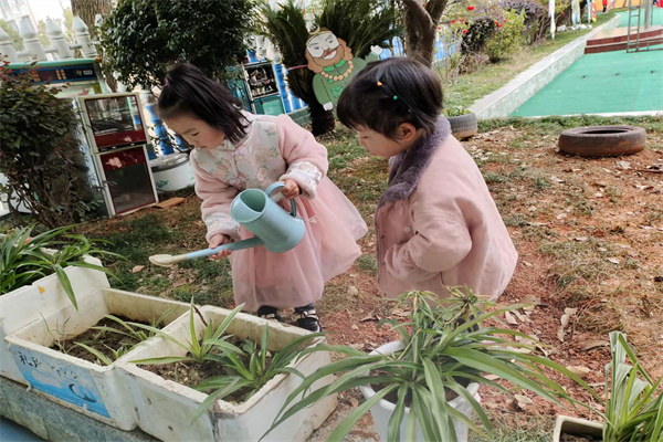 学雷锋  萌娃在行动