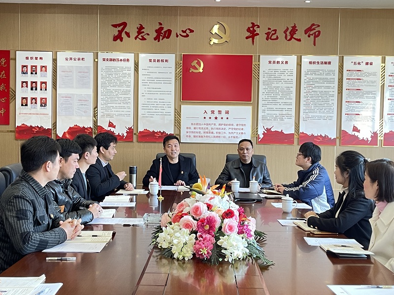 武陵区非公综合党委直管党支部 召开2021年度组织生活会
