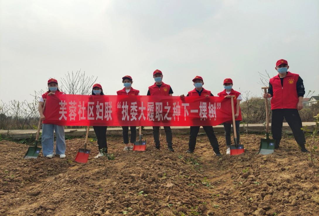芙蓉街道芙蓉社区：“植”此青绿，不负春光