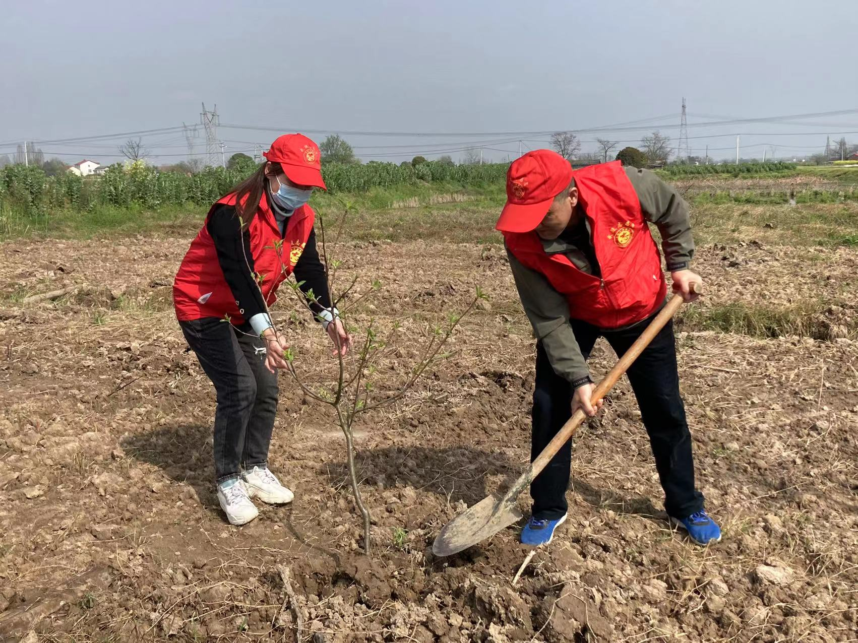 “植”此青绿，不负春光 ——旭辉东升小学开展党员义务植树活动