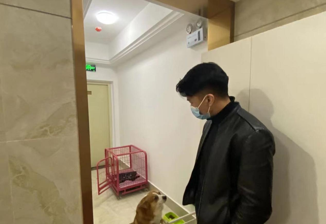 【我为群众办实事】芙蓉街道：依法文明养犬 共建和谐社区