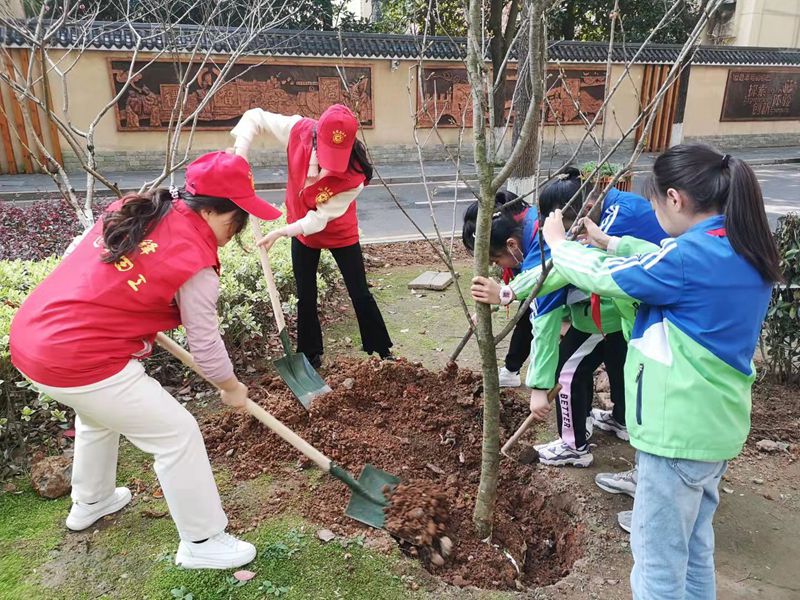 武陵区芙蓉路小学：春风拂柳吐新绿 不负春光植树忙