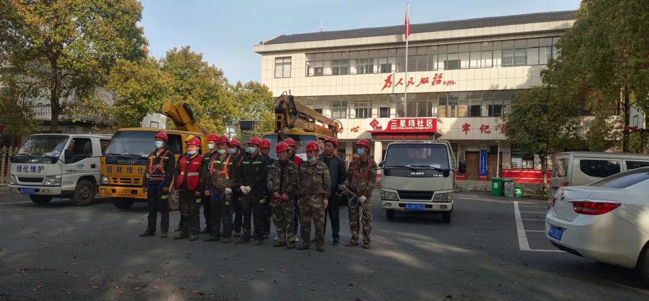 新时代文明实践耀武陵丨河洑镇三星垱社区：为民解“树”忧，护“绿”进社区