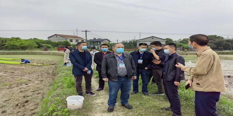 区政协来河洑镇开展“稳定粮食播种面积”专项调研活动